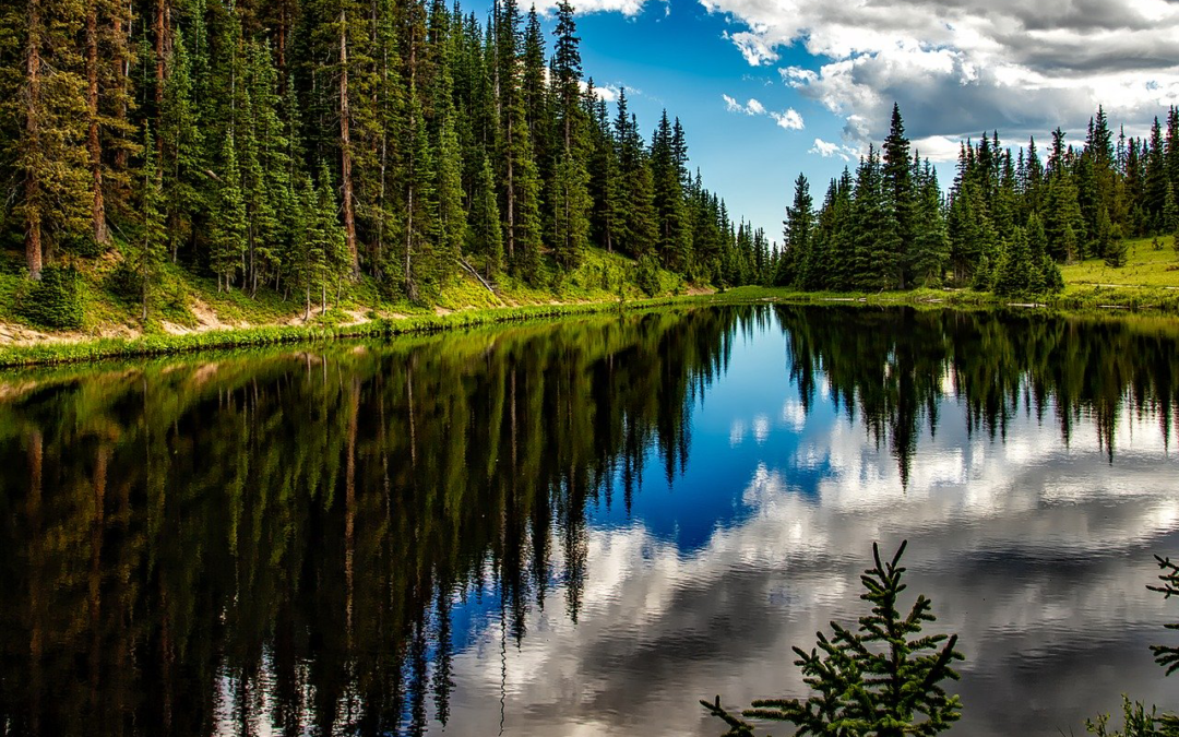 Nowa wysokośc cen i stawek