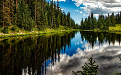 Nowa wysokośc cen i stawek